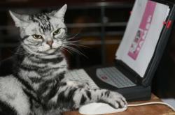 -南半球风暴！澳大利亚全明星3-2爆冷皇马，巴尔韦德戴帽难救主