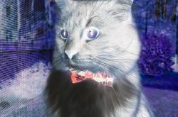 英雄联盟总决赛门票-拉梅洛火线爆发，绿衫军踏破上海铁阵—一场跨洋的硬核对话