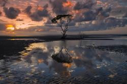 英雄联盟总决赛门票-唯一对决照亮美加墨之夜，文班亚马如何将世界踩于脚下