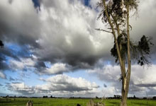 圣西罗惊雷！AC米兰遭勇士重创，意甲王座暗战升级