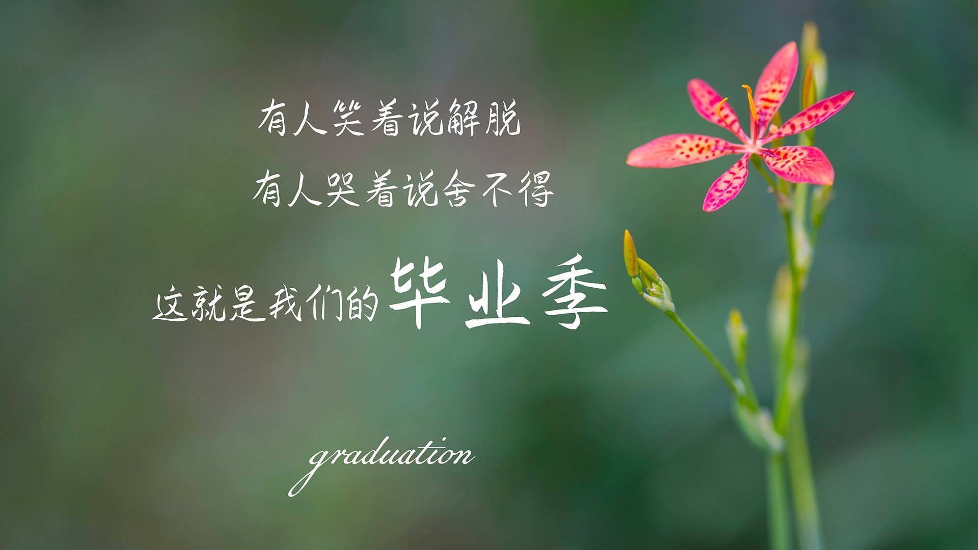 绿茵外交,当雷恩邂逅牙买加,莫德里奇以传奇点亮友谊之夜