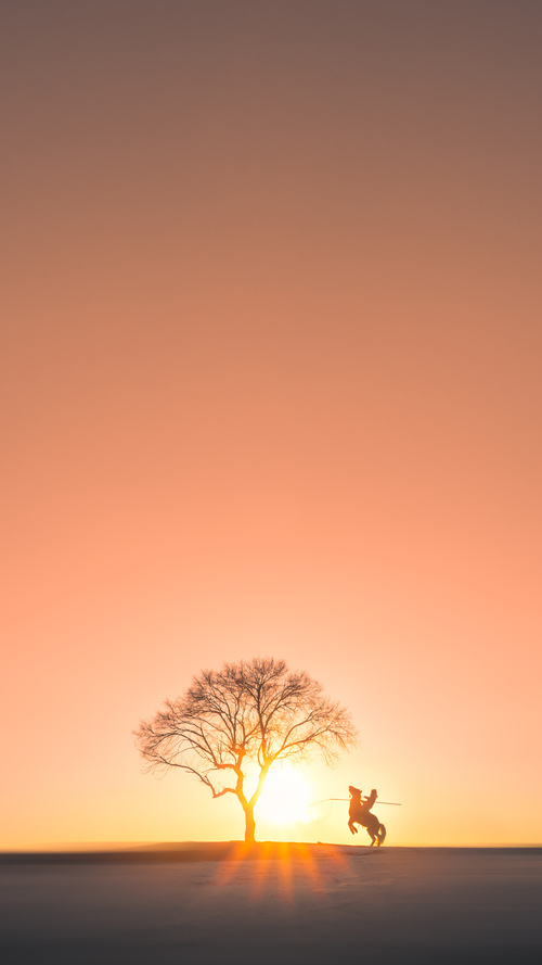 北境之王轻取东方龙，霍勒迪关键时刻一锤定音