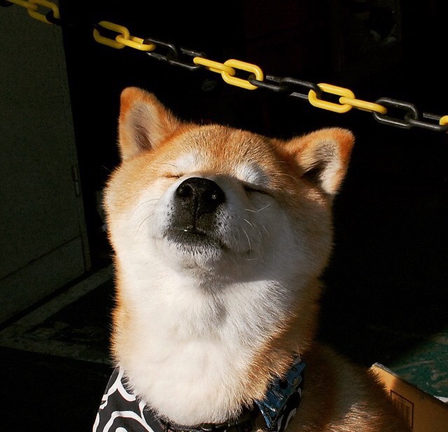 钢铁防线与孤独尖刀,贝恩扛起北京队的火力压制奇迹