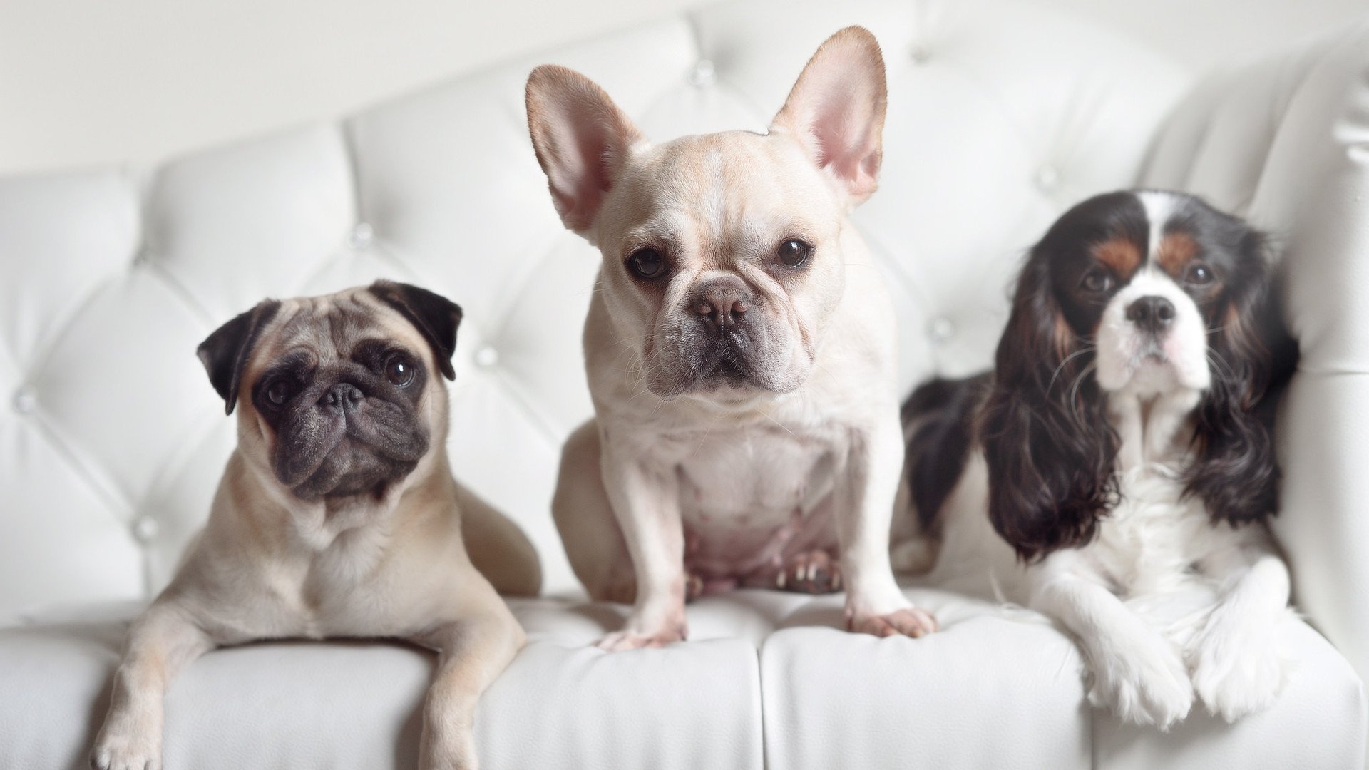 绝境重启!老鹰逆境翻盘改写历史,利拉德诠释何为关键先生