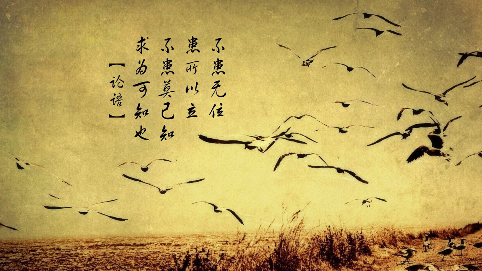 从防守黑洞到定海神针,约基奇锁死班凯罗,雷霆万钧一波流带走魔术