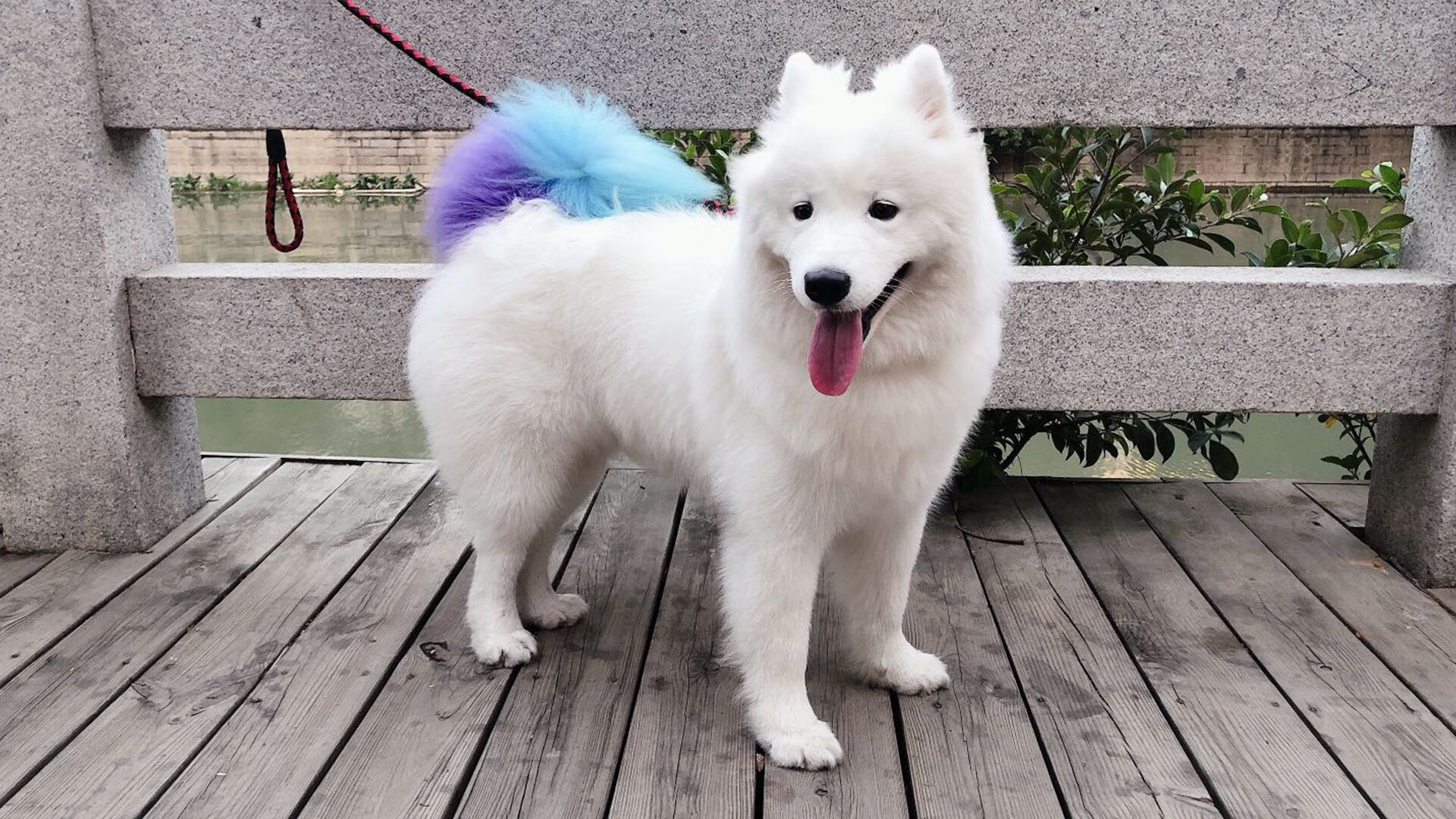 神之一脚与沉默的怒吼，梅西如何在两场关键战役中定义关键先生