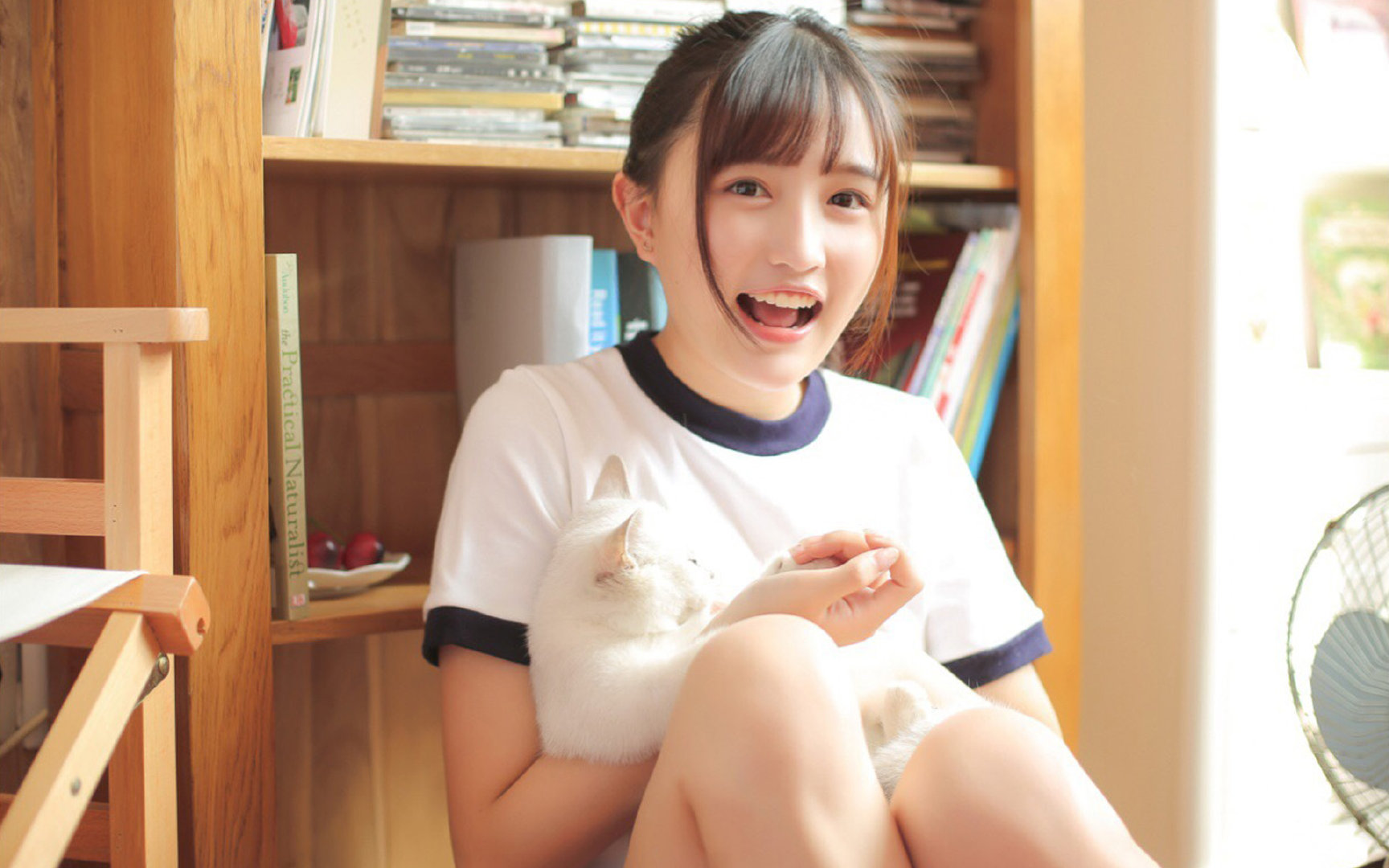 绝境长城与钢铁洪流,湖人的抢七史诗与活塞的壮烈挽歌