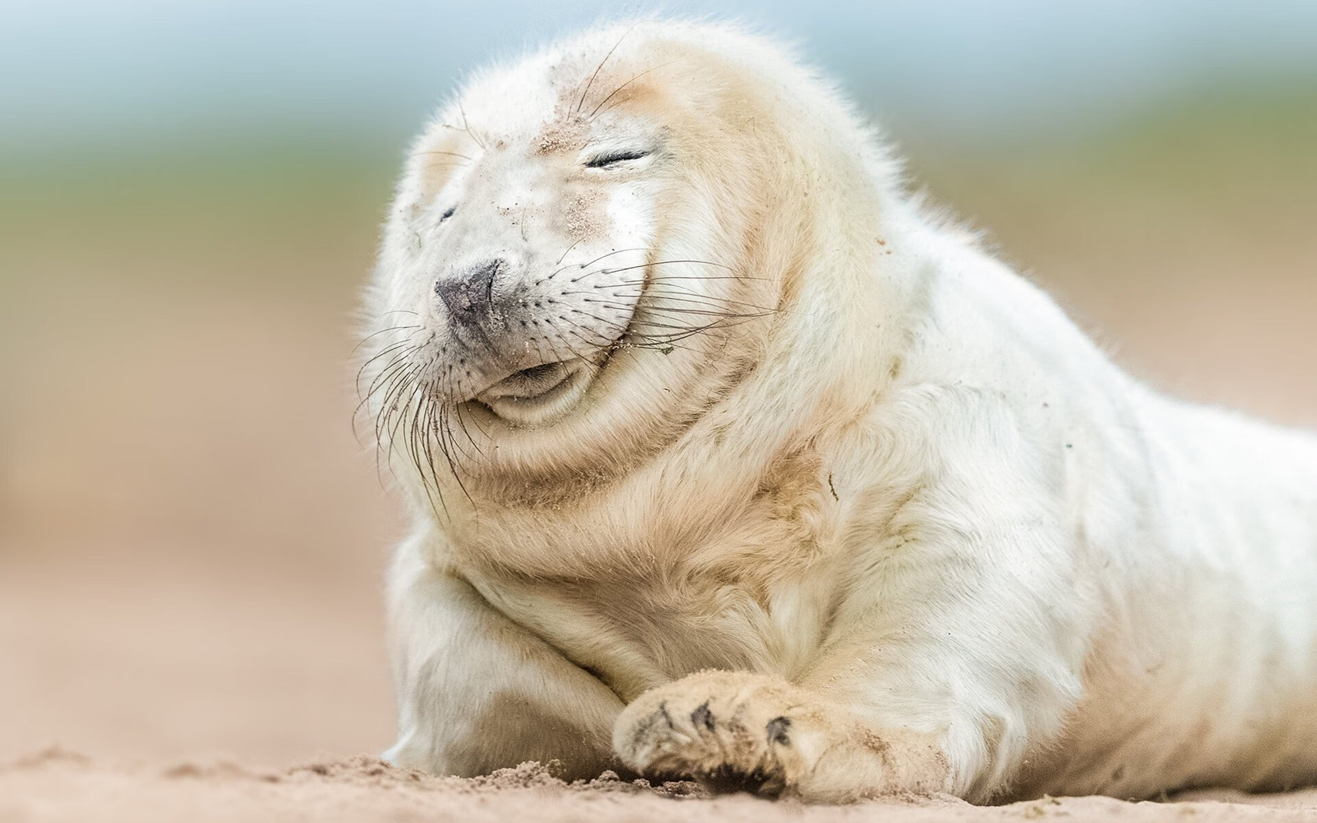 惊雷乍起新王路，布伦森，从暗夜驶来的银色闪电