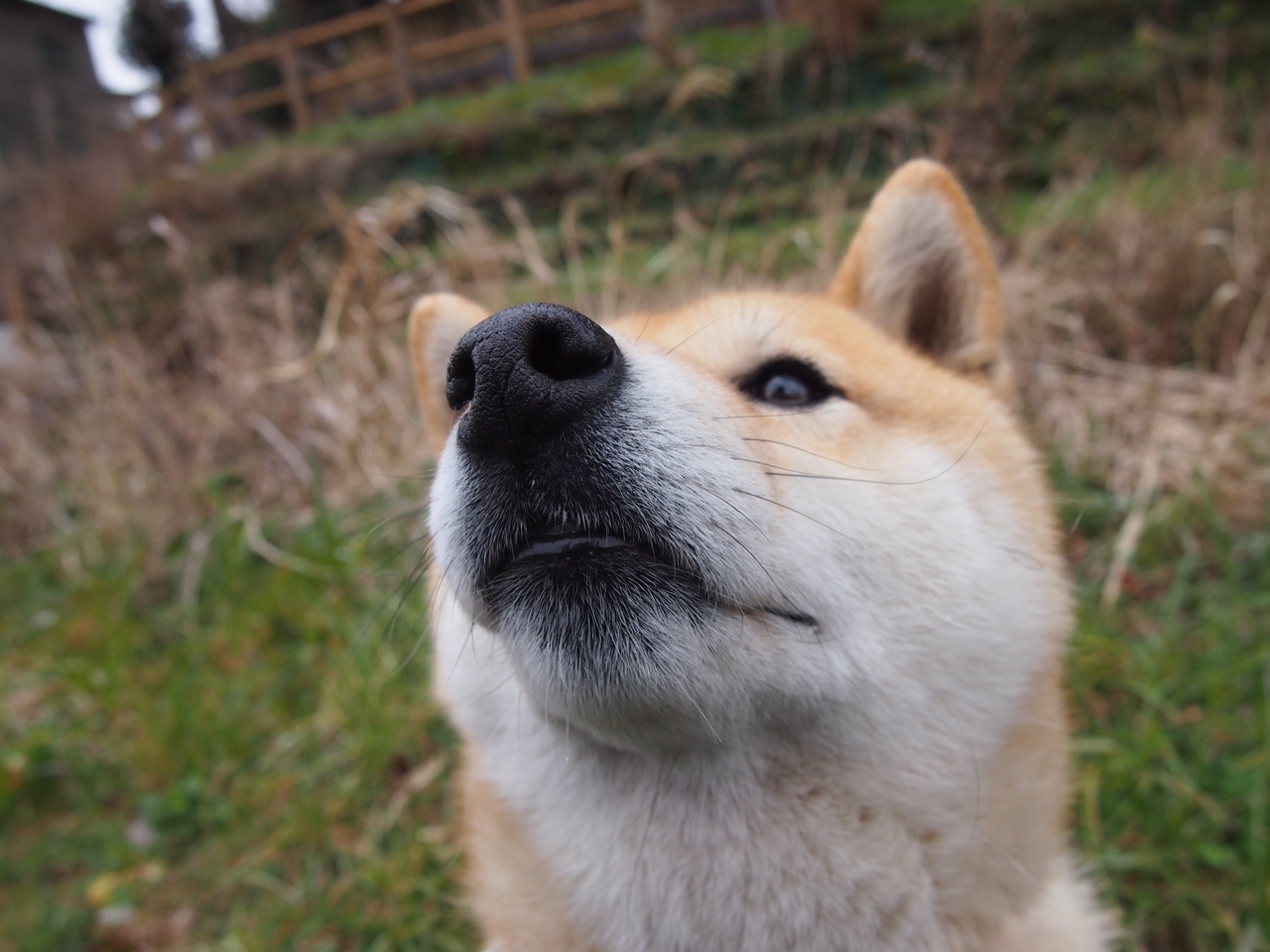 铁壁与烈火，当富安健洋的稳定美学遇上厄瓜多尔的搏命足球