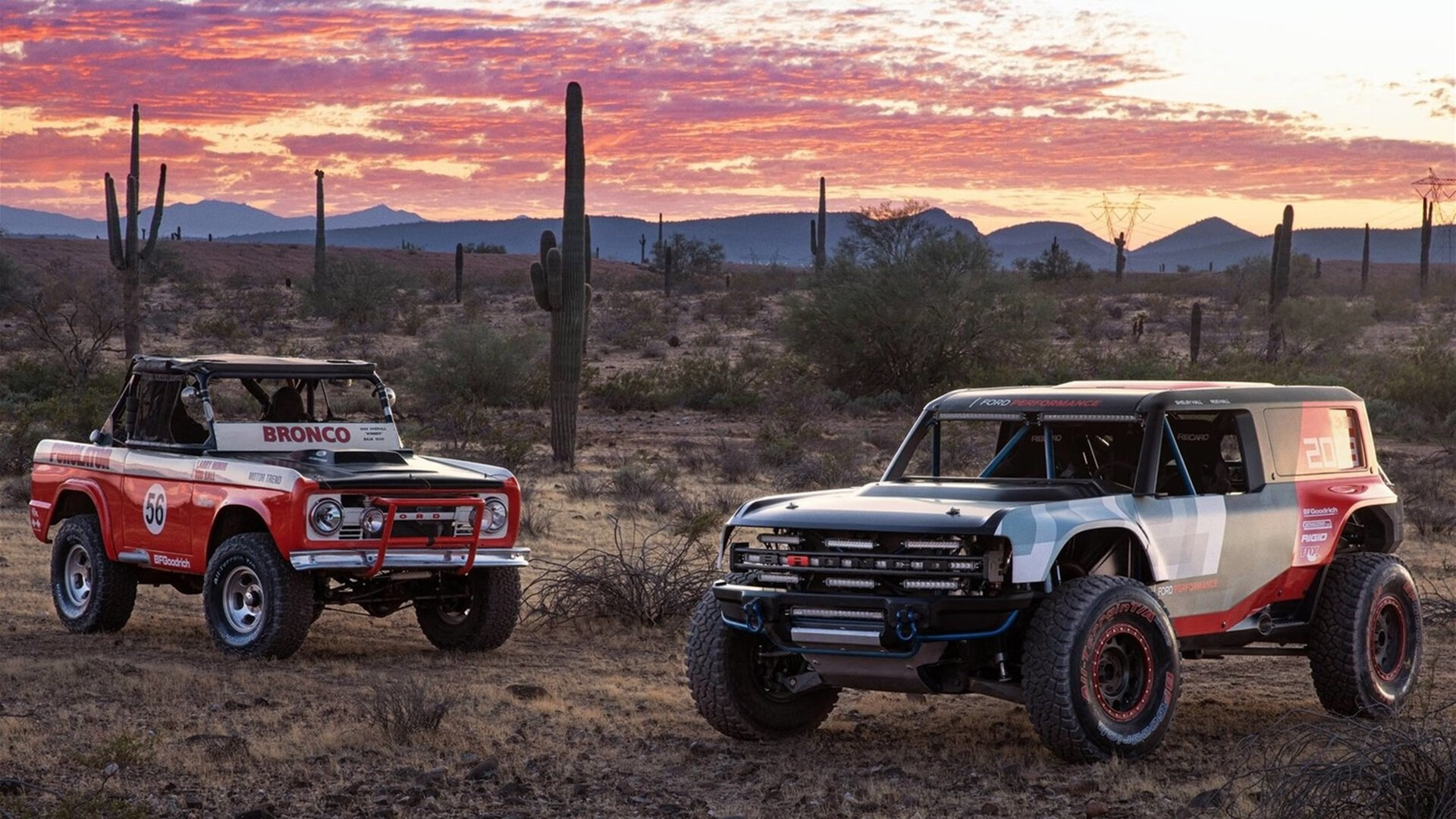 从王子公园到科纳克里,阿坎吉的洲际屏障,一场定义现代中卫的统治级演出