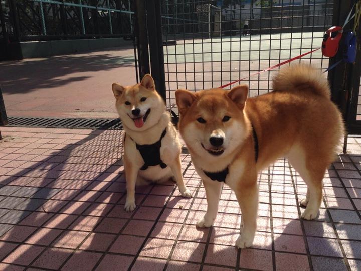 封印之战，当孤勇者特奥用生涯之夜对抗整个曼城王朝