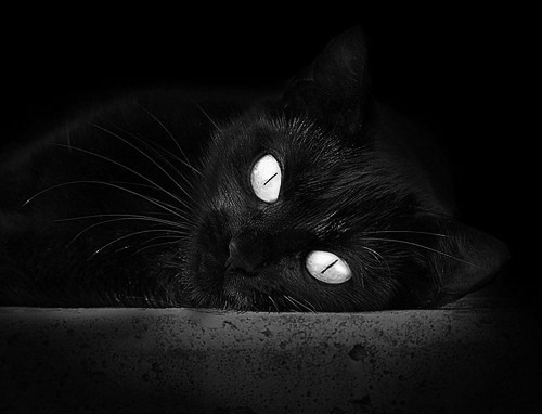 雄鹿锁死篮网,约基奇接管西决,两场定义时代的季后赛