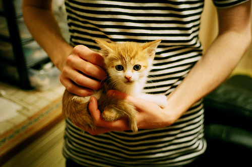 铁血与青春，从德甲争冠到灰熊咬碎76人的战术革命