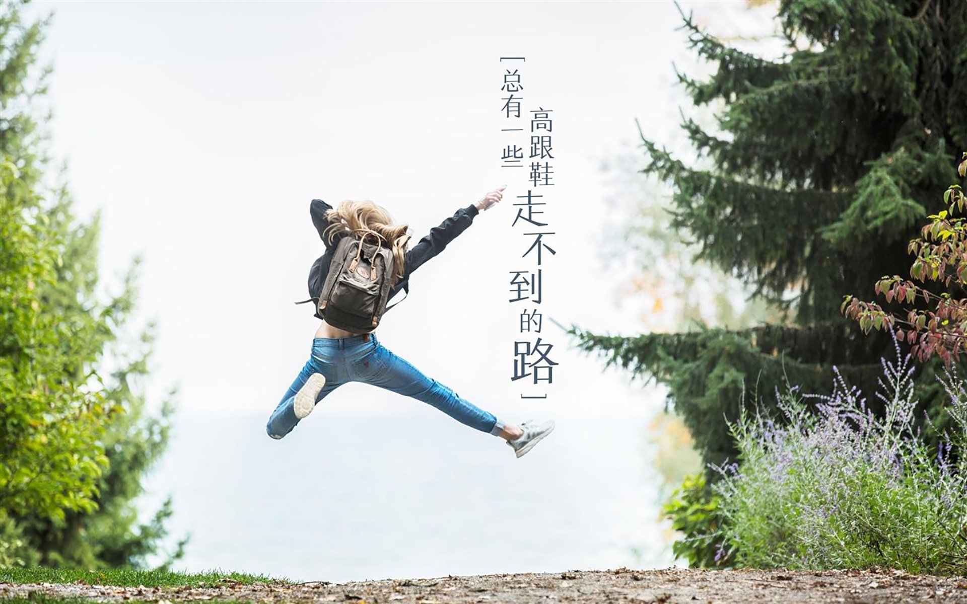 逆转之夜，萨内独舞点燃2026世界杯C组，奥地利绝地反击击碎罗马尼亚铁壁